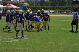 The altercation between the Bears' No. 7 and the Stallions' No. 56